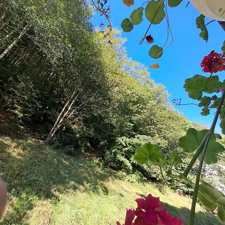 Garsoniera Flori - Sinaia Lägenhet Exteriör bild