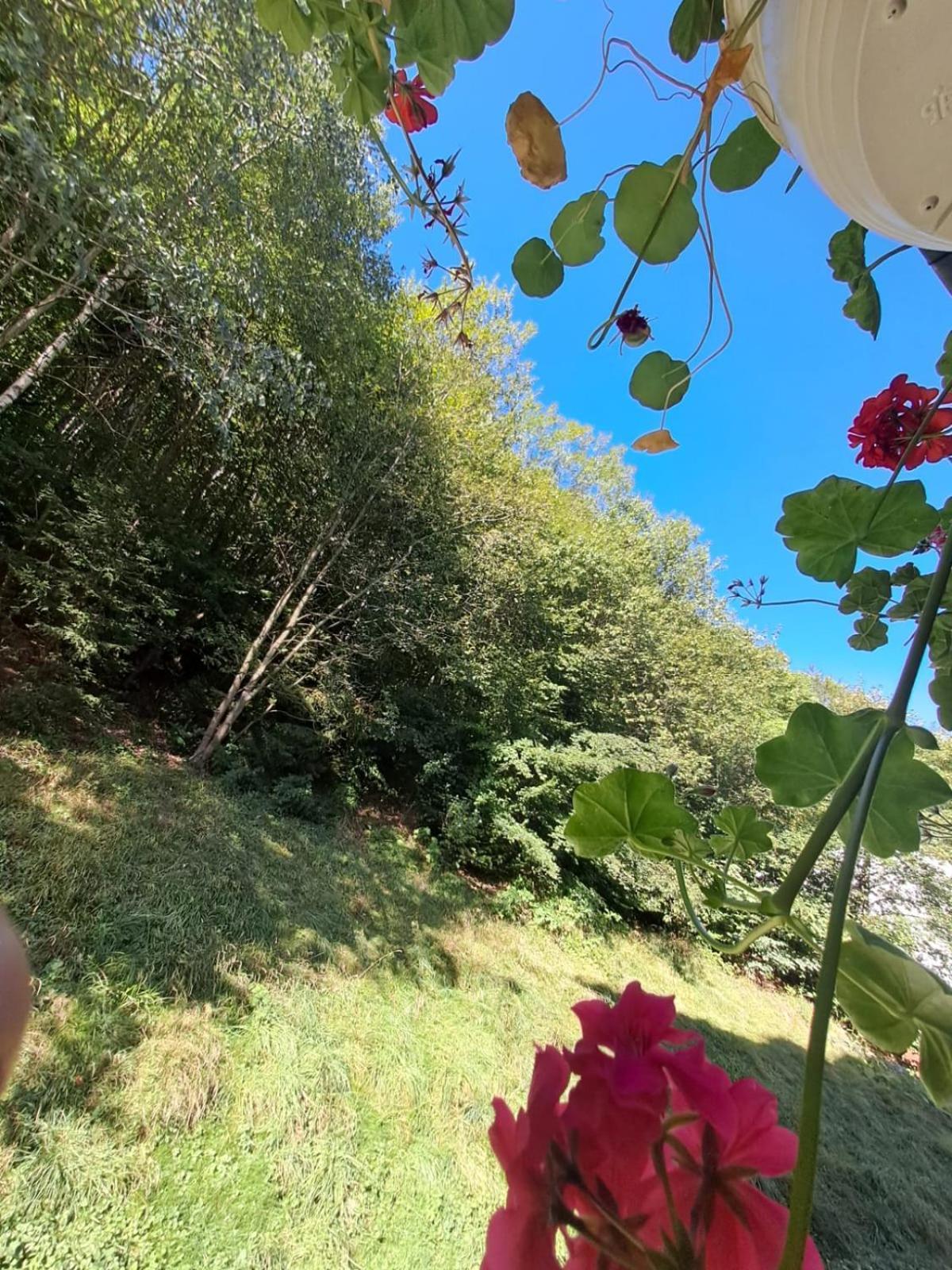 Garsoniera Flori - Sinaia Lägenhet Exteriör bild